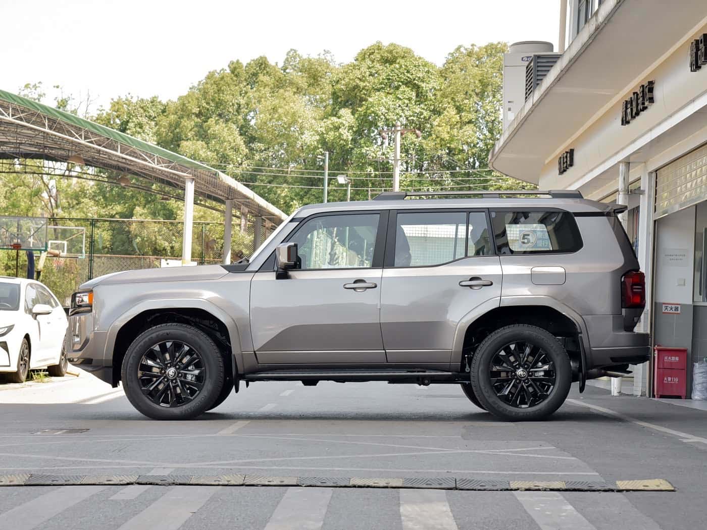 Toyota Land Cruiser Prado 250, фото 2