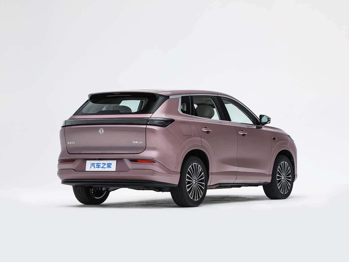 Dongfeng Fengshen L8+, фото 3