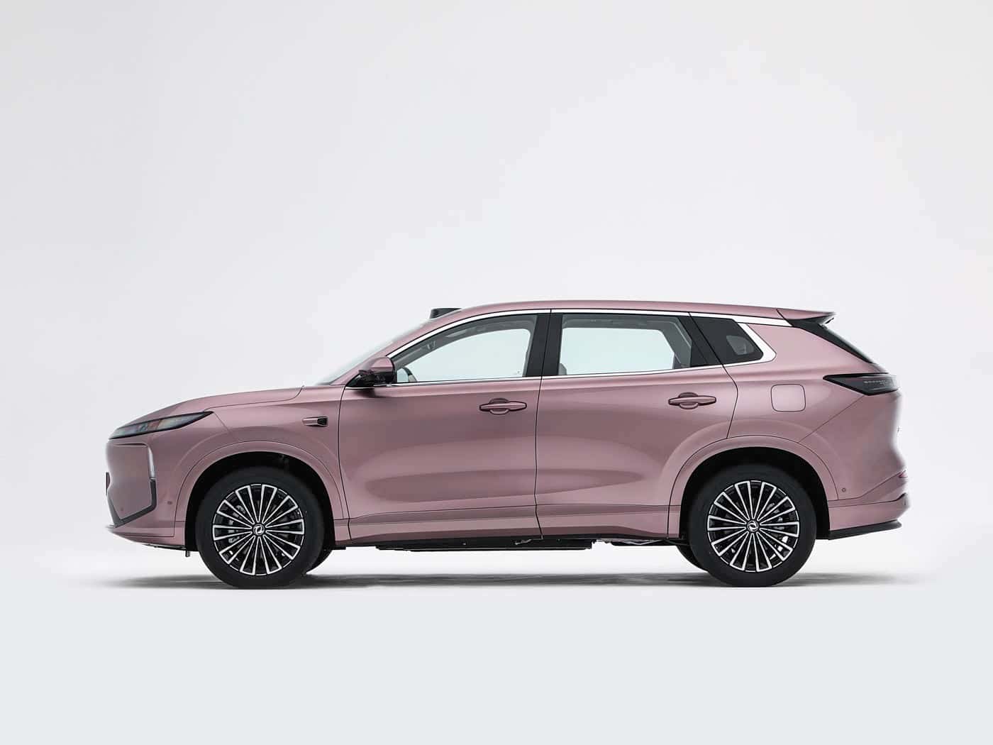 Dongfeng Fengshen L8+, фото 2