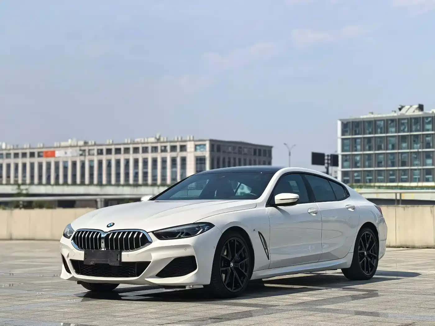 BMW 8 Series 2019